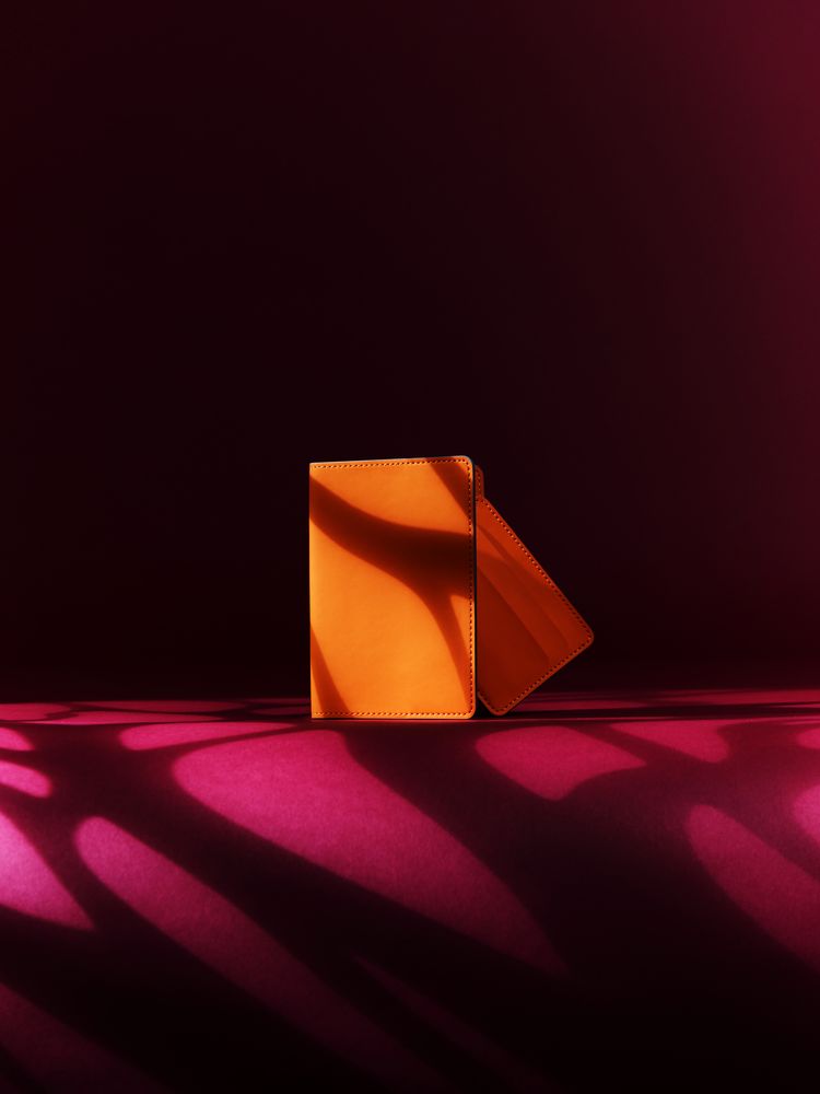 slide_6