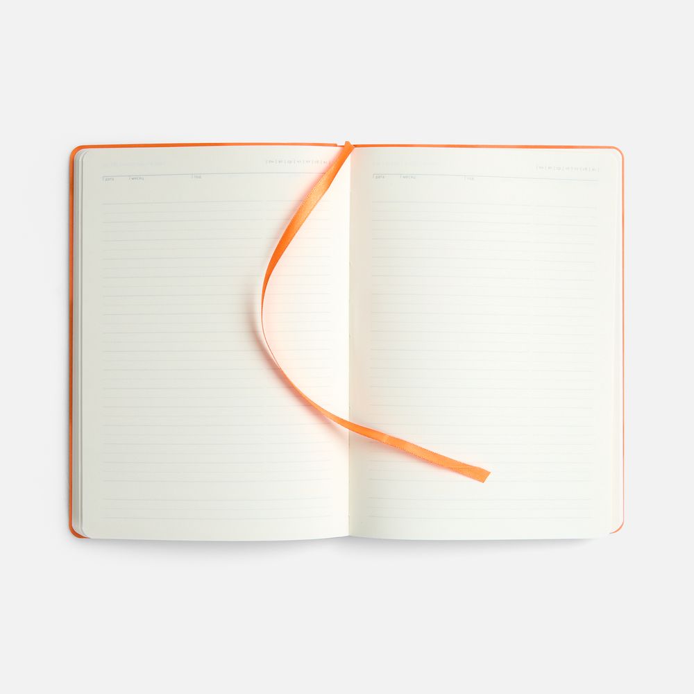slide_6
