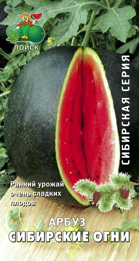 СЕМЕНА АРБУЗ "СИБИРСКИЕ ОГНИ" 15 ШТ. (10/100) "СИБИРСКАЯ СЕРИЯ" 