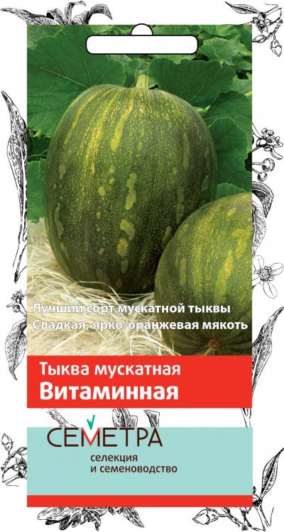 СЕМЕНА ТЫКВА МУСКАТНАЯ "ВИТАМИННАЯ" 3 Г (10/100) "СЕМЕТРА" 