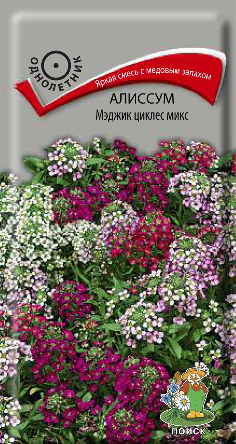 СЕМЕНА ЦВЕТОВ АЛИССУМ "МЭДЖИК ЦИКЛЕС МИКС" ("1) 0,1 Г (10/100) "ПОИСК" 