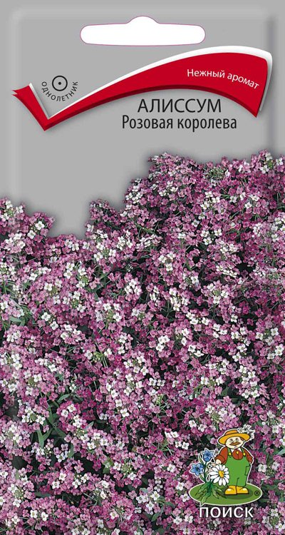 СЕМЕНА ЦВЕТОВ АЛИССУМ "РОЗОВАЯ КОРОЛЕВА" ("1) 0,3 Г (10/100) "ПОИСК" 