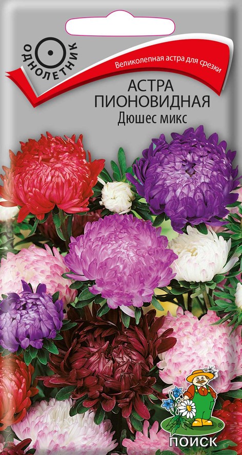 СЕМЕНА ЦВЕТОВ АСТРА ПИОНОВИДНАЯ "ДЮШЕС МИКС" ("1) 0,3 Г (10/100) "ПОИСК" 