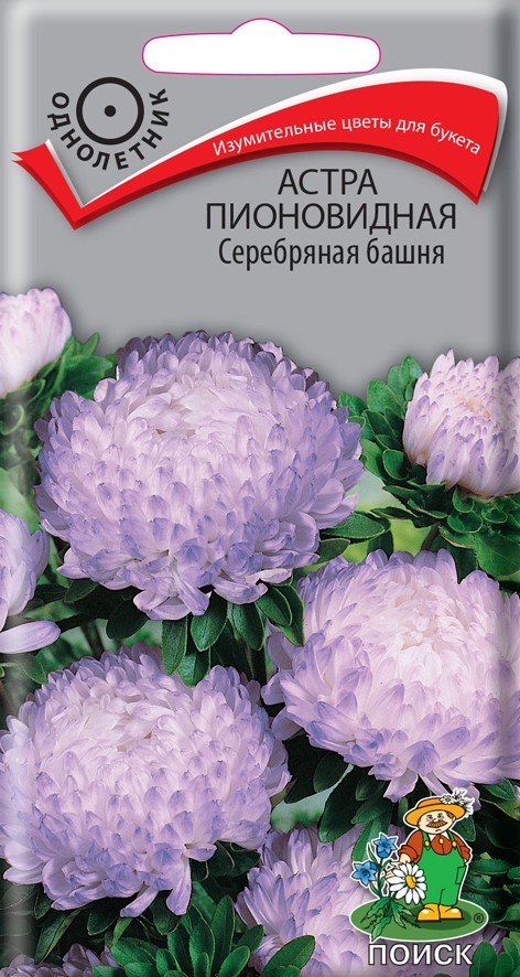 СЕМЕНА ЦВЕТОВ АСТРА ПИОНОВИДНАЯ "СЕРЕБРЯНАЯ БАШНЯ" ("1) 0,3 Г (10/100) "ПОИСК" 