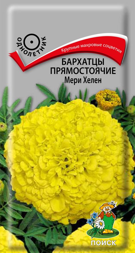 СЕМЕНА ЦВЕТОВ БАРХАТЦЫ ПРЯМОСТОЯЧИЕ (ТАГЕТЕС) "МЕРИ ХЕЛЕН" ("1) 0,4 Г (10/100) "ПОИСК" 