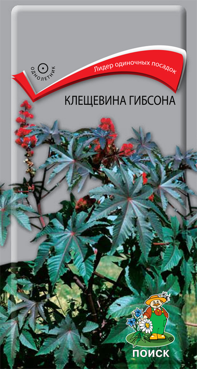 СЕМЕНА ЦВЕТОВ КЛЕЩЕВИНА ГИБСОНА (ДЕКОРАТИВНАЯ) ("1)  2 Г (10/100) "ПОИСК" 