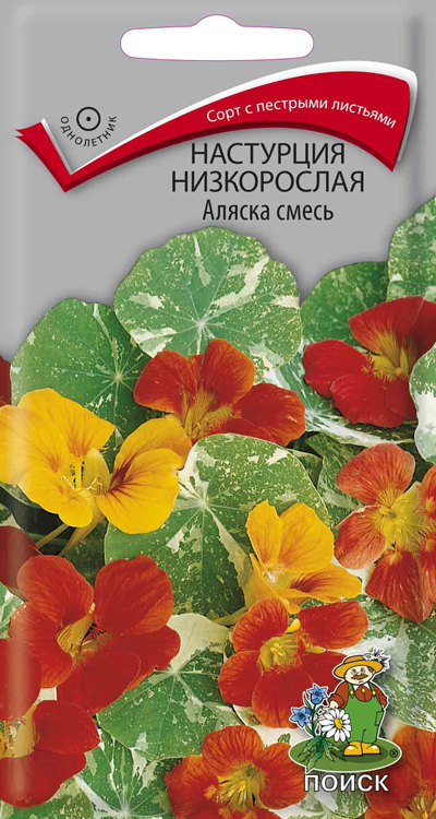 СЕМЕНА ЦВЕТОВ НАСТУРЦИЯ НИЗКОРОСЛАЯ "АЛЯСКА СМЕСЬ" ("1) 1 Г (10/100) "ПОИСК" 