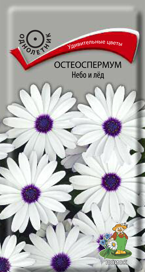 СЕМЕНА ЦВЕТОВ ОСТЕОСПЕРМУМ "НЕБО И ЛЁД" ("1) 0,1 Г (10/100) "ПОИСК" 