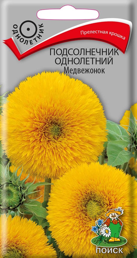 СЕМЕНА ЦВЕТОВ ПОДСОЛНЕЧНИК ДЕКОРАТИВНЫЙ "МЕДВЕЖОНОК" ("1)  0,5 Г (10/100) "ПОИСК" 