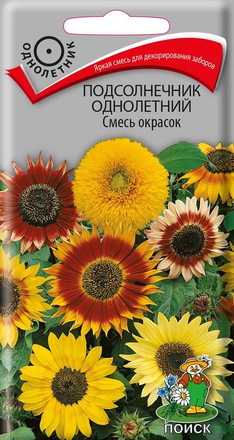 СЕМЕНА ЦВЕТОВ ПОДСОЛНЕЧНИК ДЕКОРАТИВНЫЙ СМЕСЬ ОКРАСОК ("1) 1 Г (10/100) "ПОИСК" 