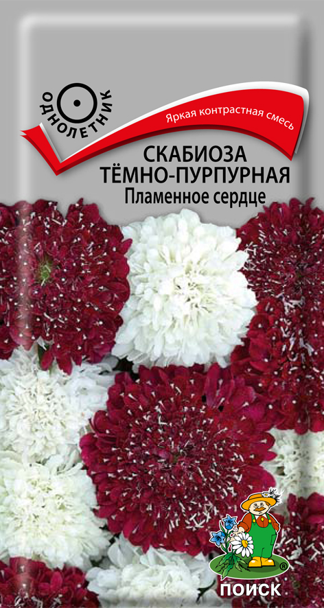 СЕМЕНА ЦВЕТОВ СКАБИОЗА ТЕМНО-ПУРПУРНАЯ "ПЛАМЕННОЕ СЕРДЦЕ" ("1) 10 ШТ. (10/100) "ПОИСК" 