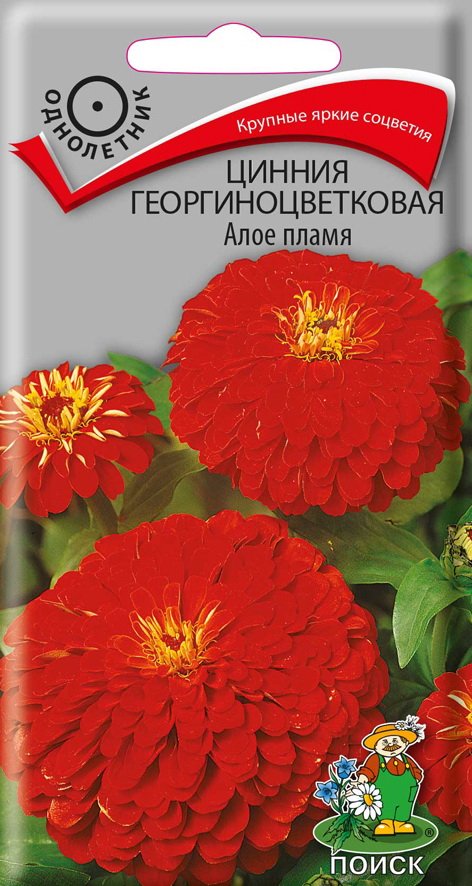 СЕМЕНА ЦВЕТОВ ЦИННИЯ ГЕОРГИНОЦВЕТКОВАЯ "АЛОЕ ПЛАМЯ" ("1) 0,4 Г (10/100) "ПОИСК" 