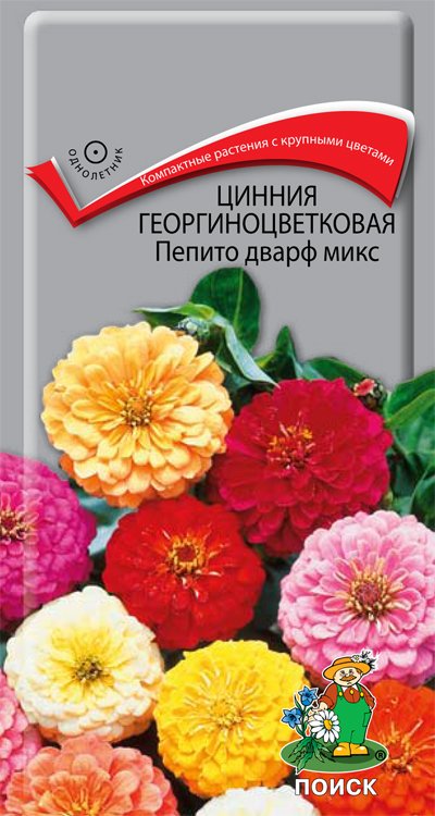 СЕМЕНА ЦВЕТОВ ЦИННИЯ ГЕОРГИНОЦВЕТКОВАЯ "ПЕПИТО ДВАРФ МИКС" ("1) 0,4 Г (10/100) "ПОИСК" 