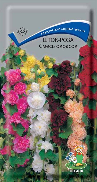 СЕМЕНА ЦВЕТОВ ШТОК-РОЗА СМЕСЬ ОКРАСОК ("2) 0,1 Г (10/100) "ПОИСК" 