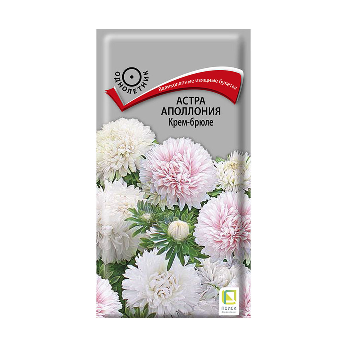 СЕМЕНА ЦВЕТОВ АСТРА АПОЛЛОНИЯ "КРЕМ-БРЮЛЕ" ("1) 0,3 Г (10/100) "ПОИСК" 