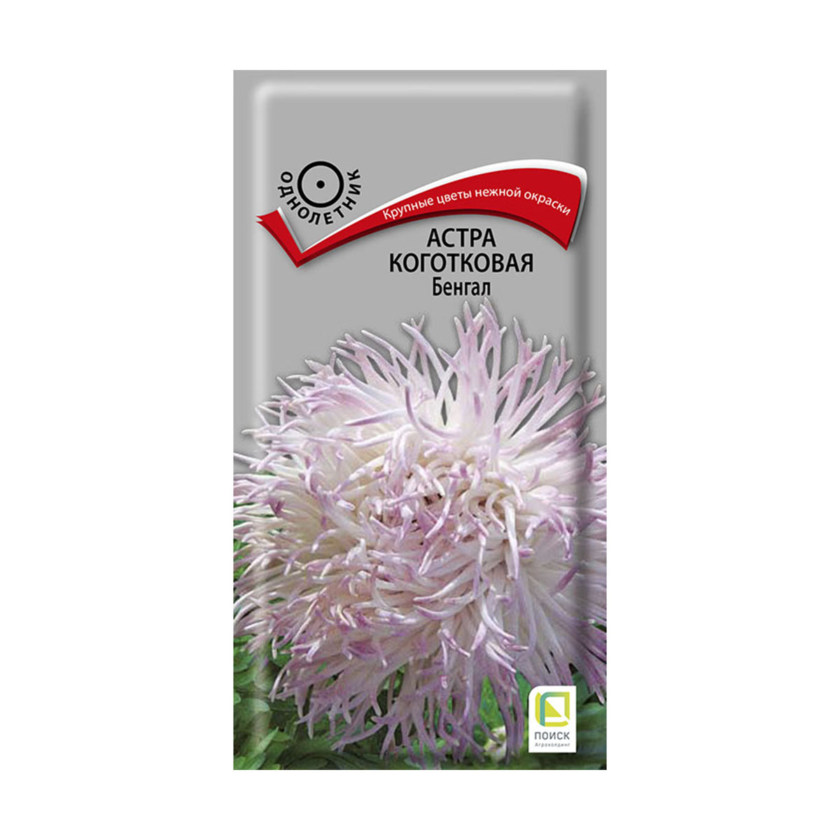 СЕМЕНА ЦВЕТОВ АСТРА КОГОТКОВАЯ "БЕНГАЛ" ("1) 0,3 Г (10/100) "ПОИСК" 