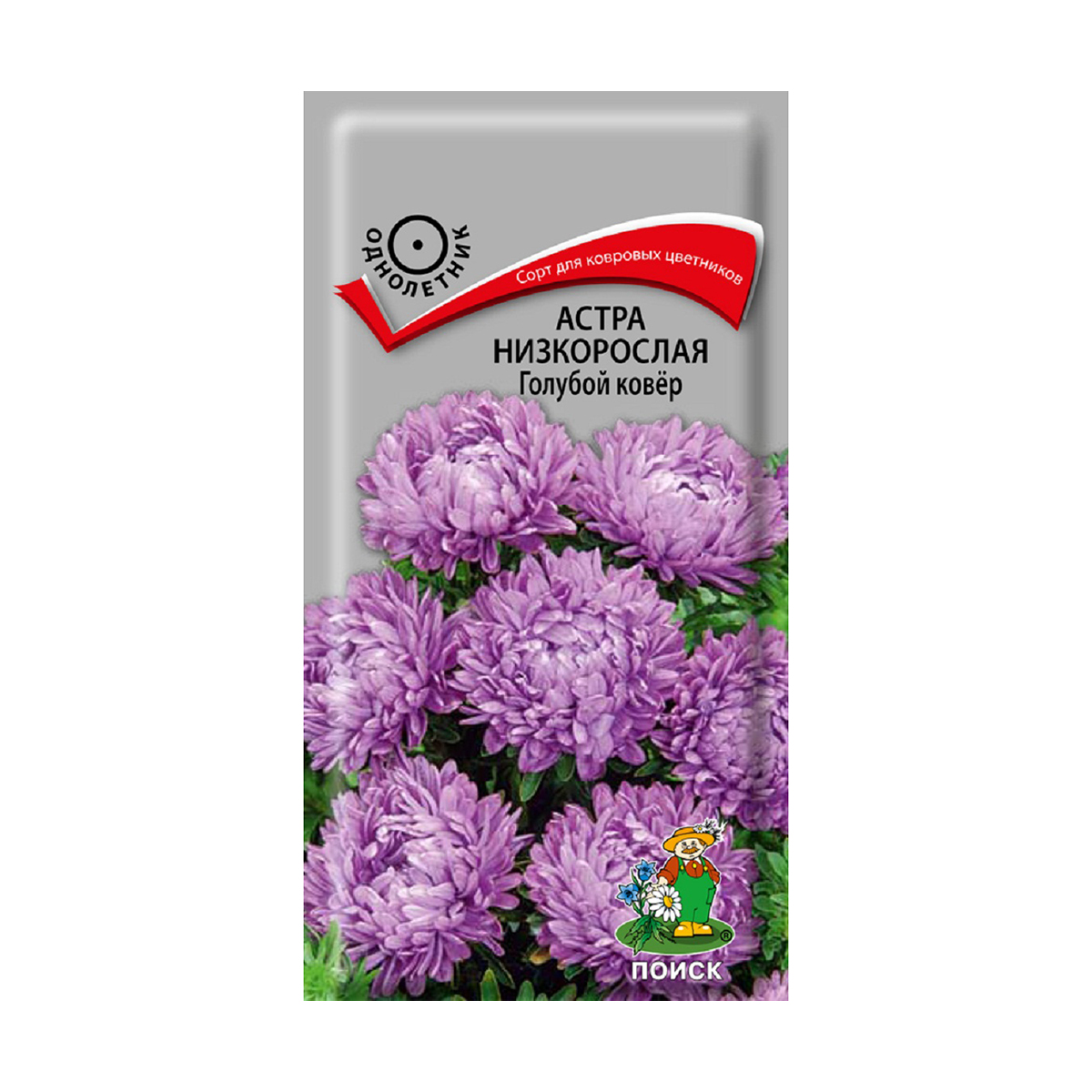 СЕМЕНА ЦВЕТОВ АСТРА НИЗКОРОСЛАЯ "ГОЛУБОЙ КОВЕР" ("1) 0,2 Г (10/100) "ПОИСК" 