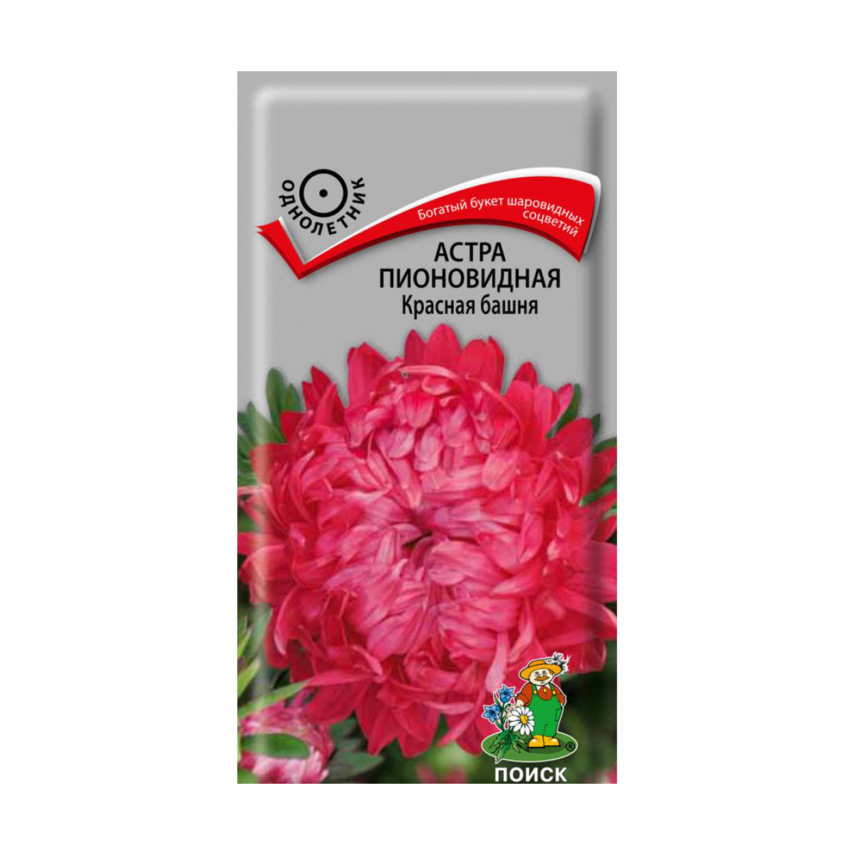 СЕМЕНА ЦВЕТОВ АСТРА ПИОНОВИДНАЯ "КРАСНАЯ БАШНЯ" ("1) 0,3 Г (10/100) "ПОИСК" 