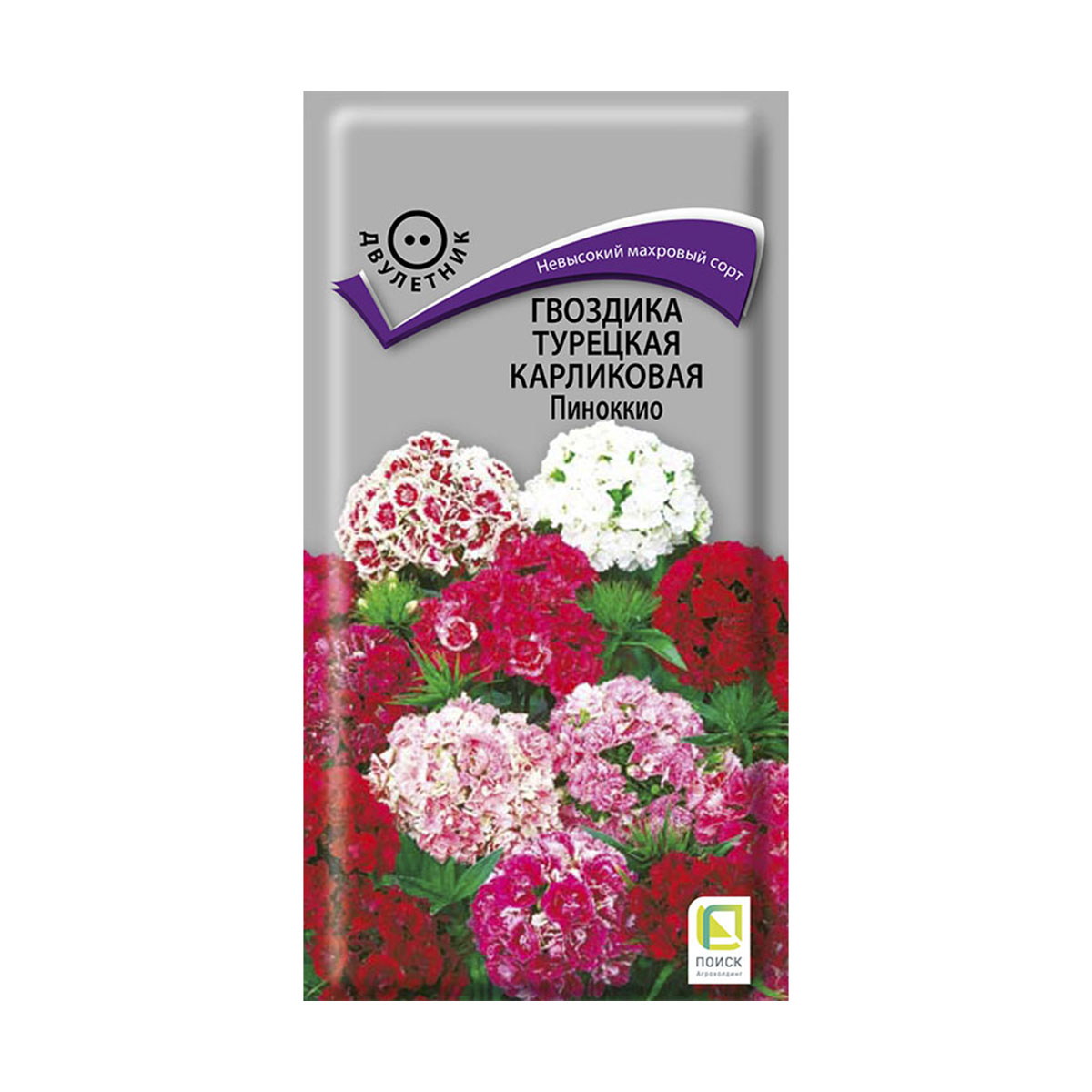 СЕМЕНА ЦВЕТОВ ГВОЗДИКА ТУРЕЦКАЯ КАРЛИКОВАЯ "ПИНОККИО" 0,3 Г ("2) (10/100) "ПОИСК" 